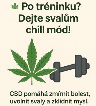 Po náročném tréninku potřebuje tělo i mysl regeneraci. 🌿💪 Některé formy ko*opí, jako CBD, mohou pomoct zmírnit zánět a...