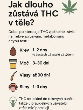 🧠 Jak dlouho zůstává T* C v těle? T*C se v těle drží déle, než trvá jeho účinek. ⏳ 👉 Jednorázově: 1–3 dny 👉 Pravidelně: až...