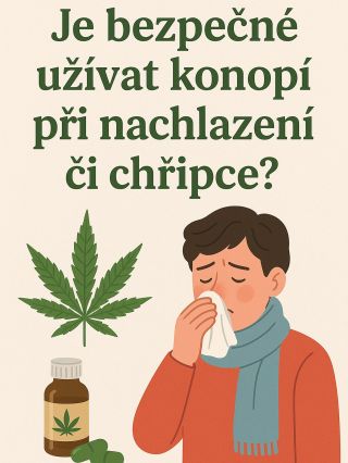 Kon*pí při nachlazení – ano, nebo ne? 🌿🤒 Kon*pí může ulevit od bolesti, zlepšit spánek i chuť k jídlu, ale neku*te ho –...