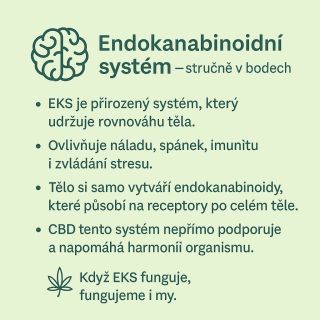 Endokanabinoidní systém (ECS) je přirozený regulátor vašeho těla – hlídá spánek, náladu, chuť k jídlu i imunitu. Díky...